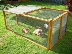 outdoor guinea pig cage